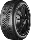 Vettura DUNLOP 195/65 R15 91T WINTER M+S EVR